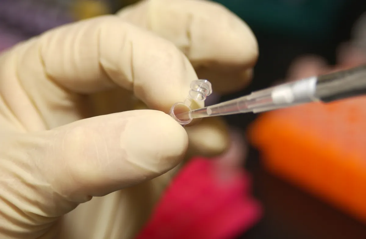 Une chercheuse prélève de l'ADN avec une pipette