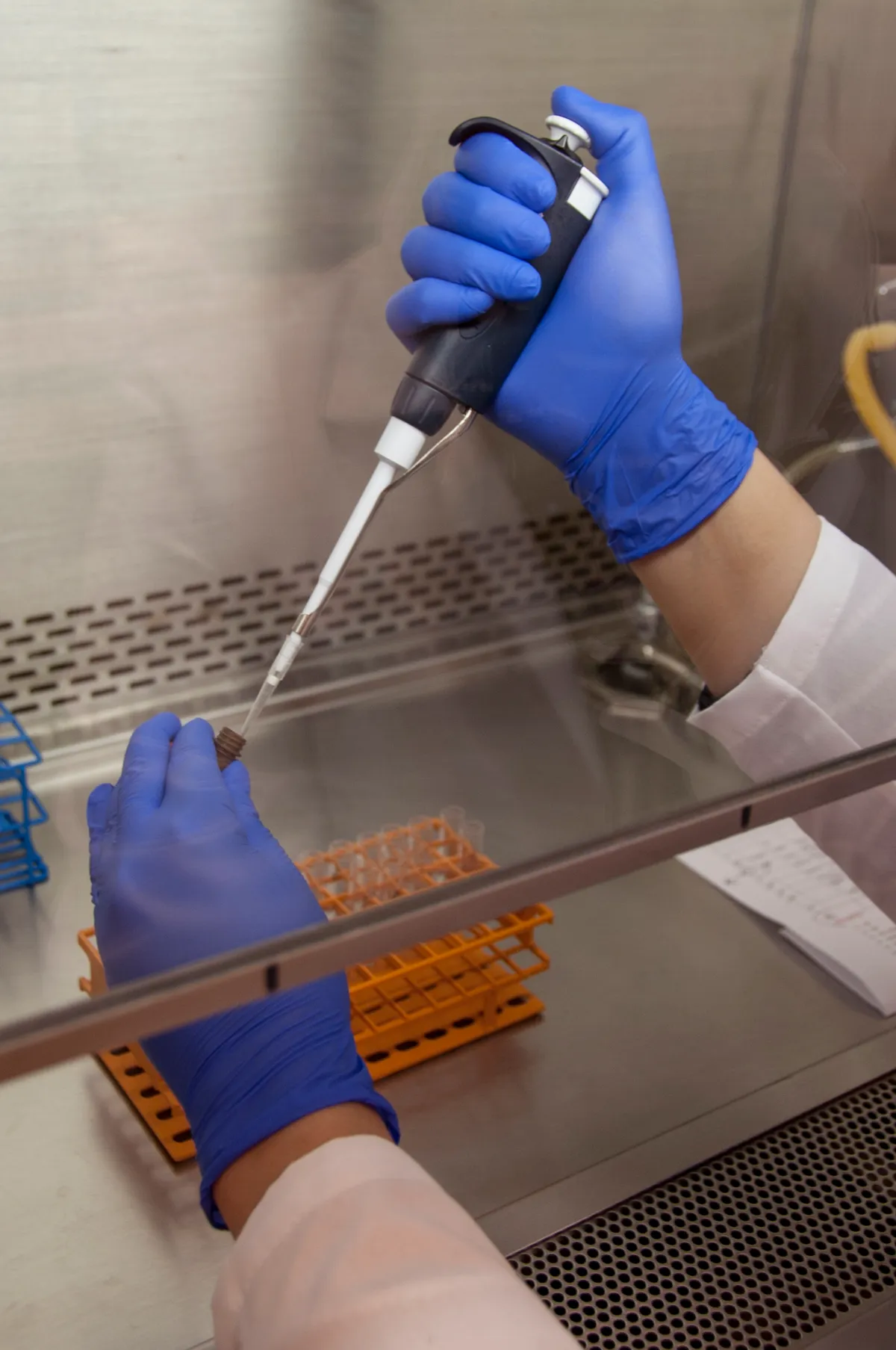 Recherche sur les cellules souches dans un laboratoire